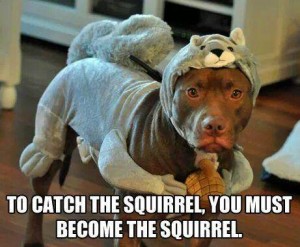DogCostume